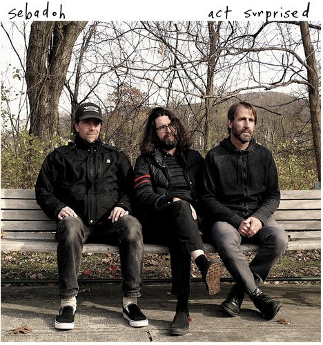 Sebadoh - Act Surprised { vinyl }