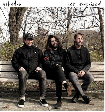Sebadoh - Act Surprised { vinyl }