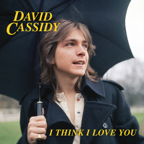 David Cassidy - I Think I Love You [7-inch Blue] { vinyl }