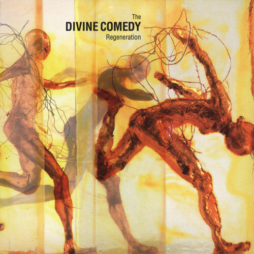 The Divine Comedy - Regeneration { vinyl }