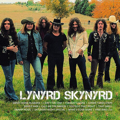 Lynyrd Skynyrd - Icon [2LP] { vinyl }