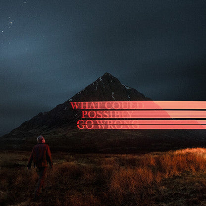 Dominic Fike - What Could Possibly Go Wrong { vinyl }