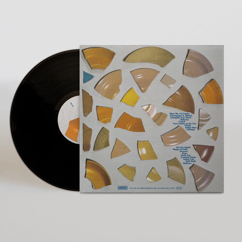 The Clean - Unknown Country { vinyl }