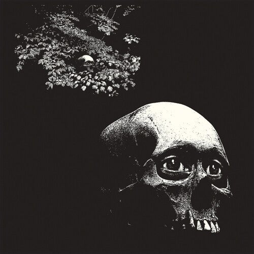 Osees - Foul Form { vinyl }