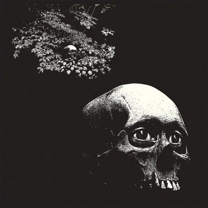 Osees - Foul Form { vinyl }