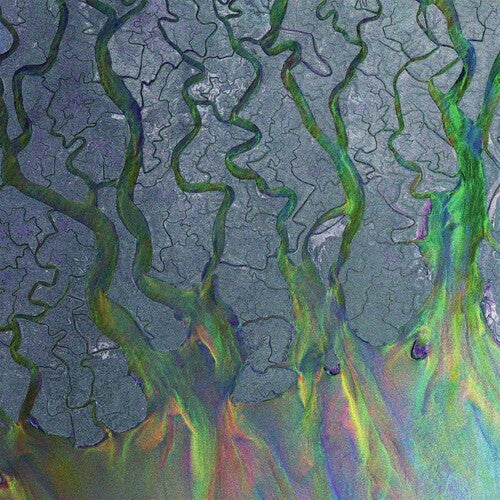 Alt-J - Awesome Wave { vinyl }