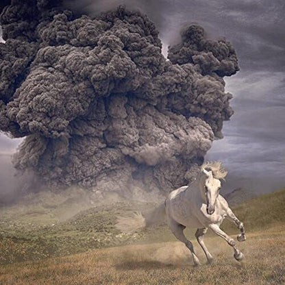 The White Buffalo - Year Of The Dark Horse { vinyl }