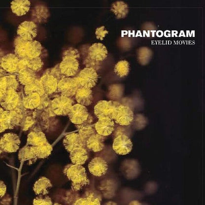 Phantogram - Eyelid Movies { vinyl }