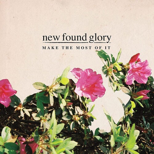 New Found Glory - Make The Most Of It { vinyl }