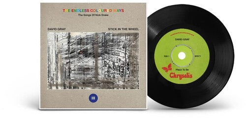 David Gray - The Endless Coloured Ways: The Songs of Nick Drake [7-inch] { vinyl }