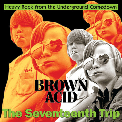 Various Artists - Brown Acid - The Seventeenth Trip (Various Artists) { vinyl }