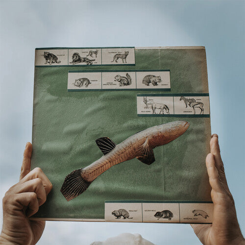 Cotton Jones - The River Strumming { vinyl }