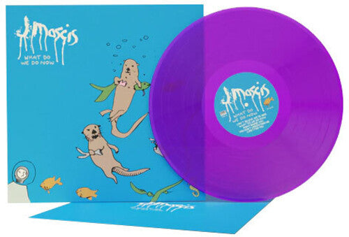 J Mascis - What Do We Do Now [Purple] { vinyl }