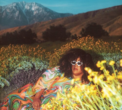 Brittany Howard - What Now { vinyl }