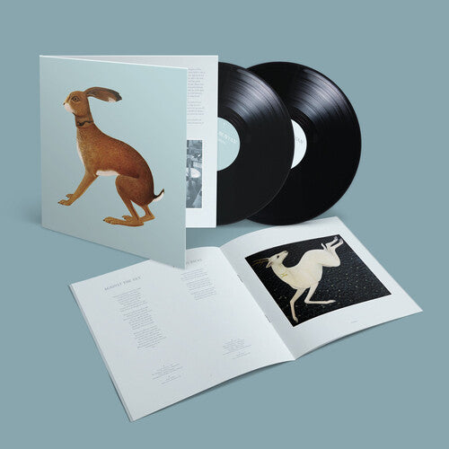 Vashti Bunyan - Lookaftering (Expanded) [2LP] { vinyl }