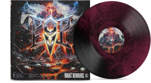 POP EVIL - WHAT REMAINS Vinyl LP { vinyl }