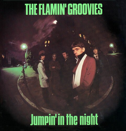 FLAMIN' GROOVIES - JUMPIN' IN THE NIGHT Vinyl LP { vinyl }