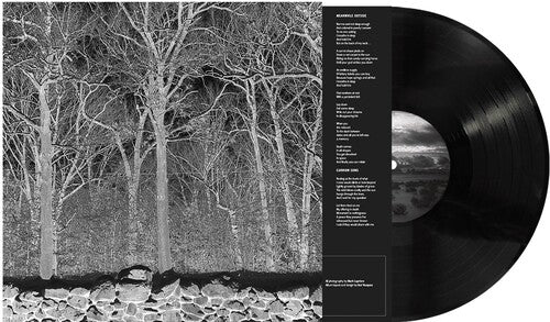 Pile - Sunshine and Balance Beams { vinyl }