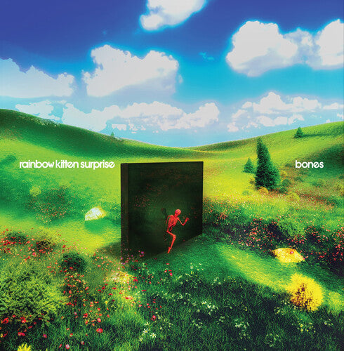 Rainbow Kitten Surprise - bones { vinyl }