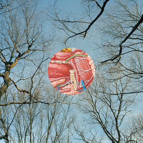 They Might Be Giants - Glean [Red] { vinyl }