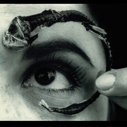 MR BUNGLE - DISCO VOLANTE Vinyl LP { vinyl }