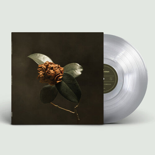 St. Paul & the Broken Bones - Young Sick Camellia [Silver] { vinyl }