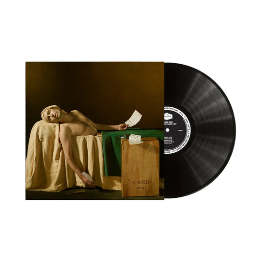 Andrew Bird - My Finest Work Yet { vinyl }
