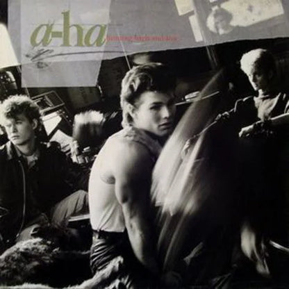a-ha - Hunting High and Low { vinyl }