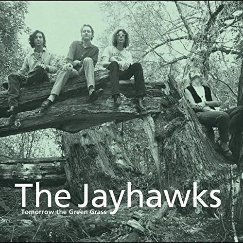 The Jayhawks - Tomorrow the Green Grass { vinyl }