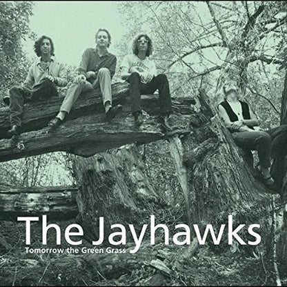The Jayhawks - Tomorrow the Green Grass { vinyl }