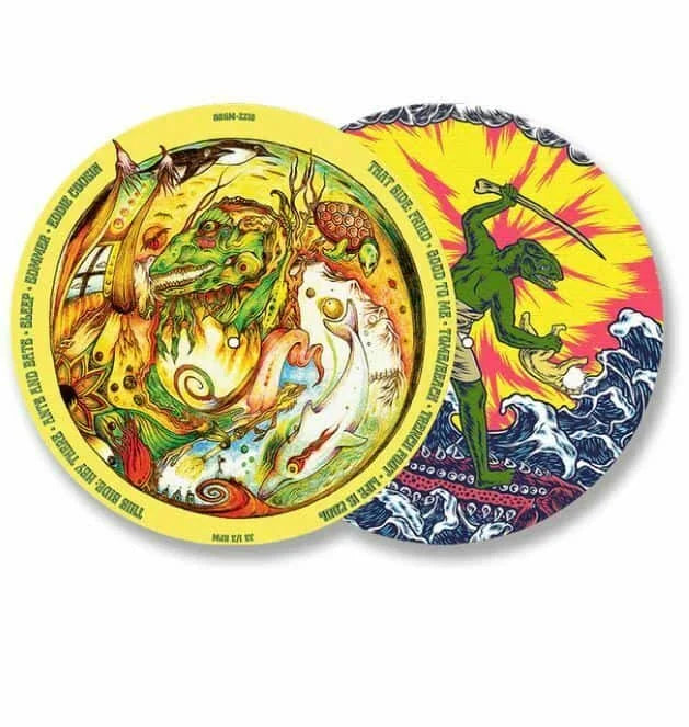 King Gizzard and the Lizard Wizard - Teenage Gizzard [Picture Disc] { vinyl }