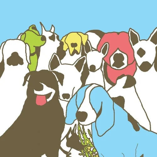 The Format - Dog Problems [Milky Clear 2LP] { vinyl }
