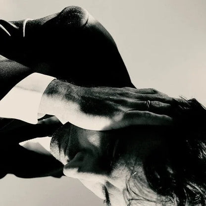 Andrew Bird - Inside Problems { vinyl }