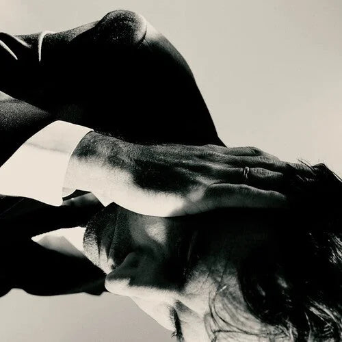 Andrew Bird - Inside Problems { vinyl }