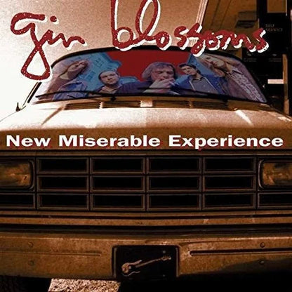 Gin Blossoms - New Miserable Experience { vinyl }
