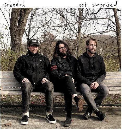 Sebadoh - Act Surprised { vinyl }