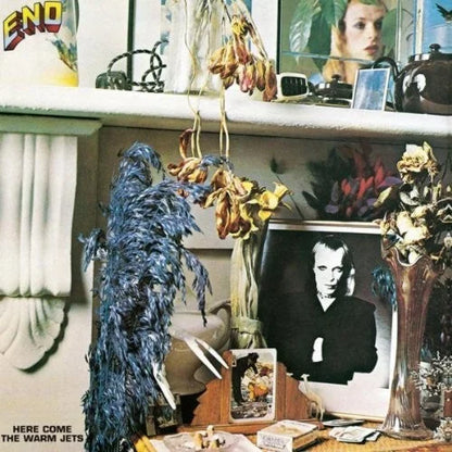 Brian Eno - Here Come The Warm Jets { vinyl }