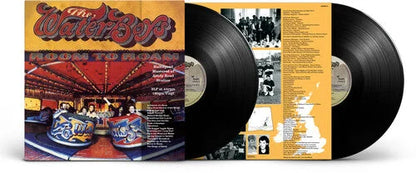 The Waterboys - Room To Roam (Half Speed Master) [2LP] { vinyl }