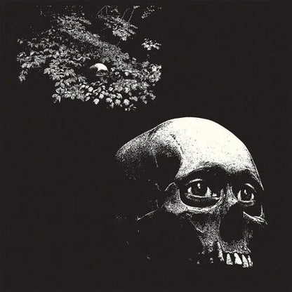 Osees - Foul Form { vinyl }