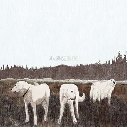 Foxing - The Albatross: Ten Years { vinyl }