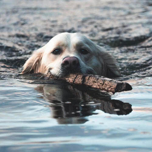 Orebolo - The Chateau [2LP Black & White] { vinyl }