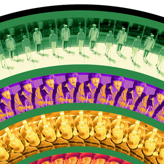 Pet Sounds Exclusive Zoetrope Vinyl LP { vinyl }