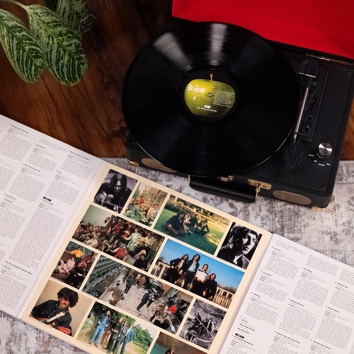 Anthology Collection (2025 Edition): 12LP Boxset { vinyl }