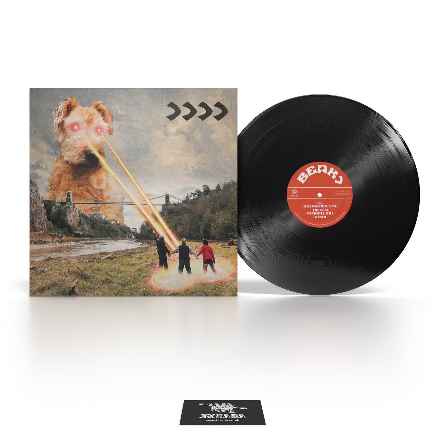 >>>> Vinyl LP { vinyl }