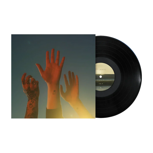 the record vinyl lp [black vinyl] { vinyl }