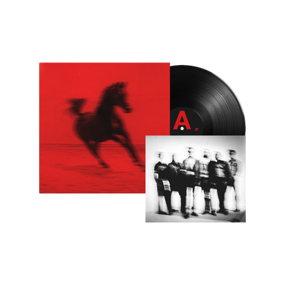 BUCK: Vinyl LP + Signed Art Card { vinyl }