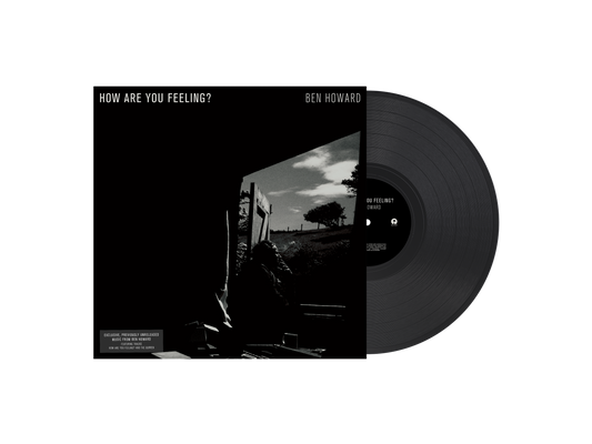 How Are You Feeling? Vinyl EP { vinyl }