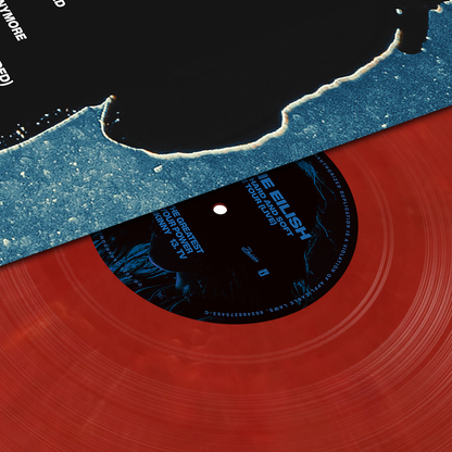 HIT ME HARD AND SOFT: THE TOUR (LIVE) VINYL { vinyl }