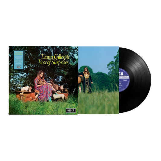 Box Of Surprises (RSD25): Vinyl LP { vinyl }