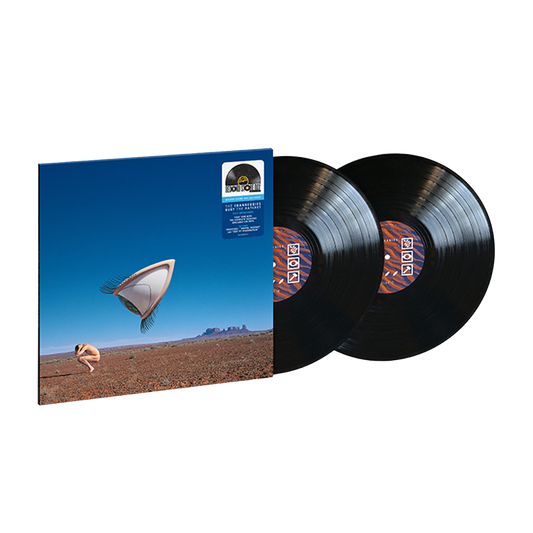 Bury The Hatchet (The Complete Sessions): Limited Vinyl 2LP [RSD24] { vinyl }